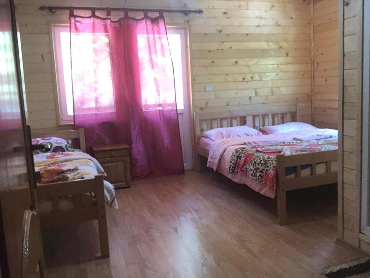 Adenisi Guesthouse Tropoje Ngoại thất bức ảnh